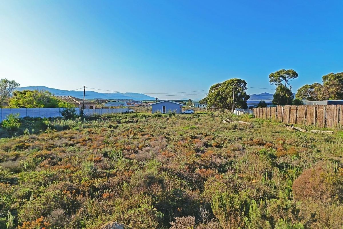 Big Skies,  Big Dreams! - Photo 3