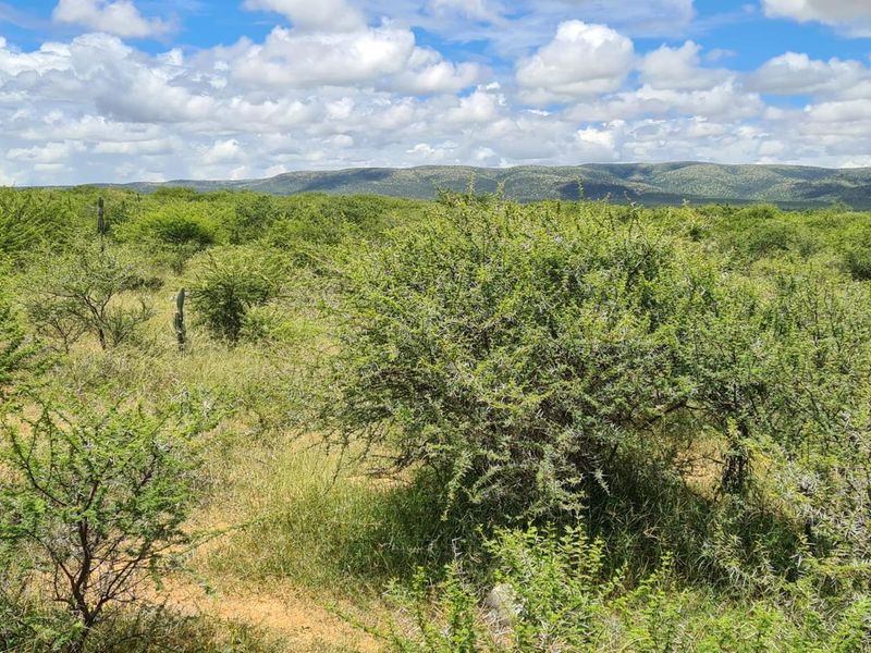 157 Hectares of Untapped Potential with Breathtaking Mountain Views - Photo 3