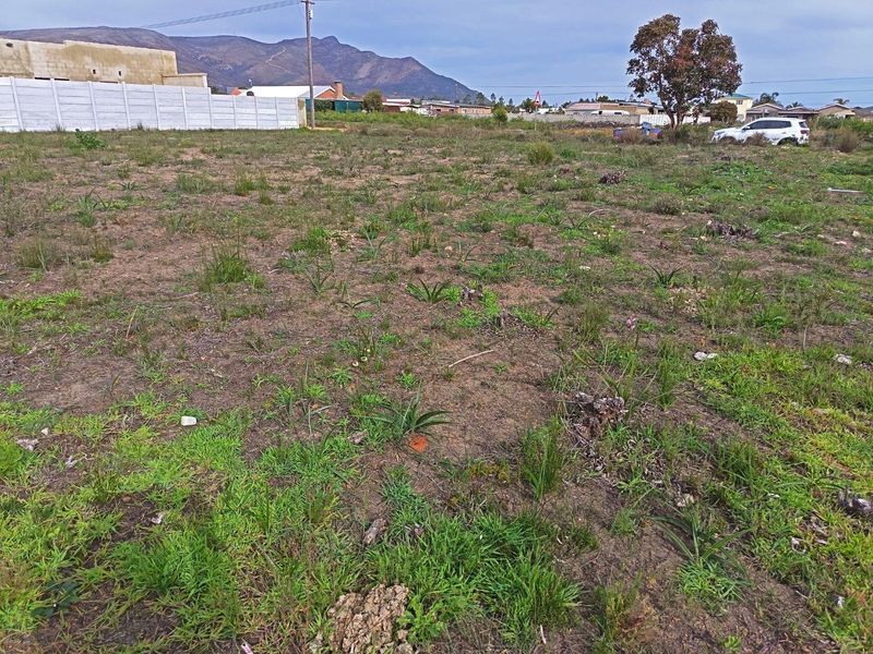 Two for the price of one - Photo 8