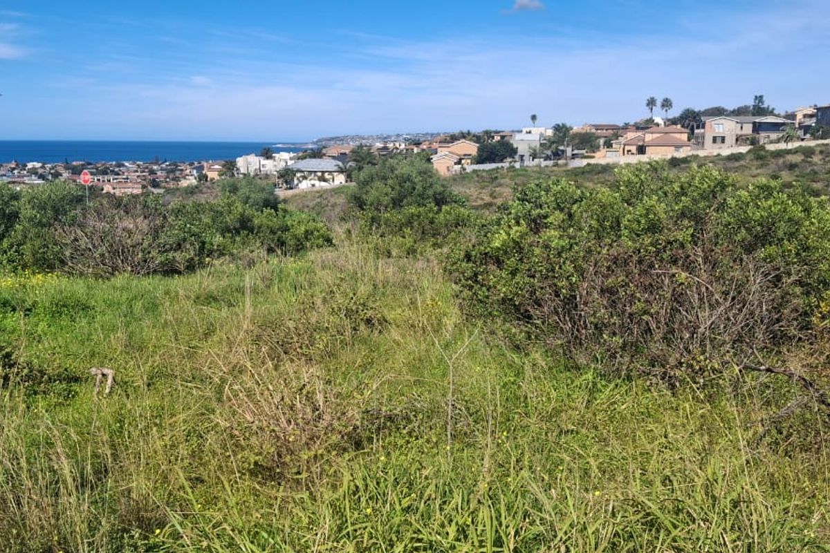 A scenic view overlooking a coastal residential area and the ocean from a vacant residential plot.