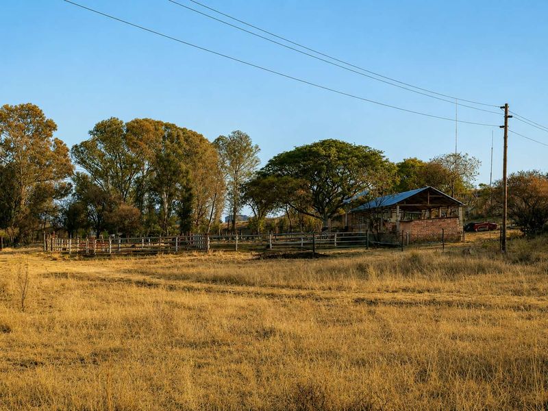 140 ha Farm with Mining Potential – 28 km from Witbank - Photo 6