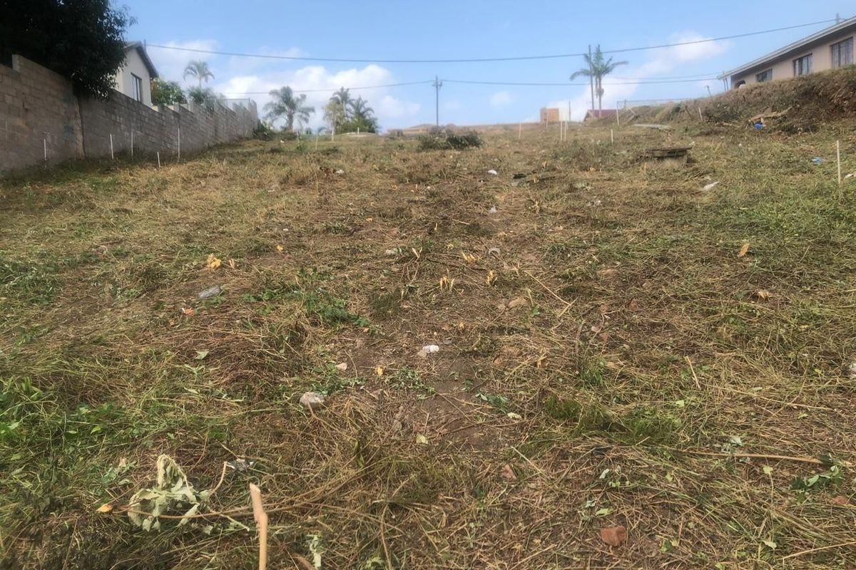 A view of a vacant residential plot of land with a boundary wall, showing cleared vegetation and a gentle slope.