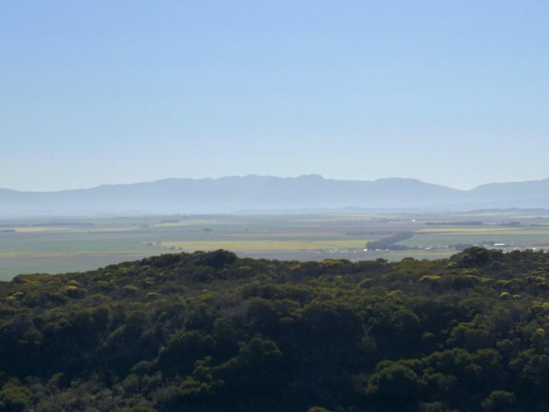 EXCEPTIONAL BEAUTIFUL VERSITILE FARM TO DEVELOP. TOURIST ATTRACTION - Photo 8