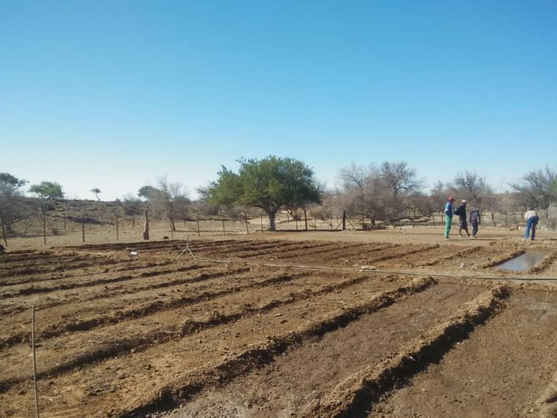 CATTLE FARM FOR SALE IN HARDAP DISTRICT - Photo 6