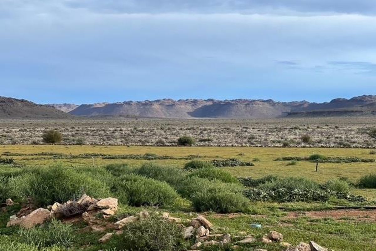 A Rare Karoo Legacy | 5 000 Hectares of Endless Opportunity - Photo 3