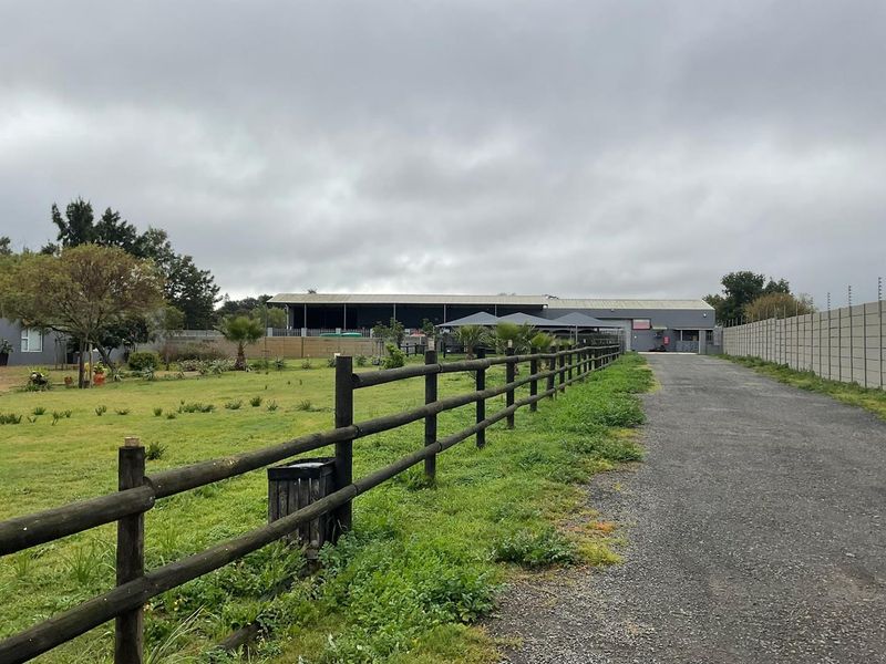 Pristine Smallholding – Lifestyle, Business & Investment Opportunity - Photo 4