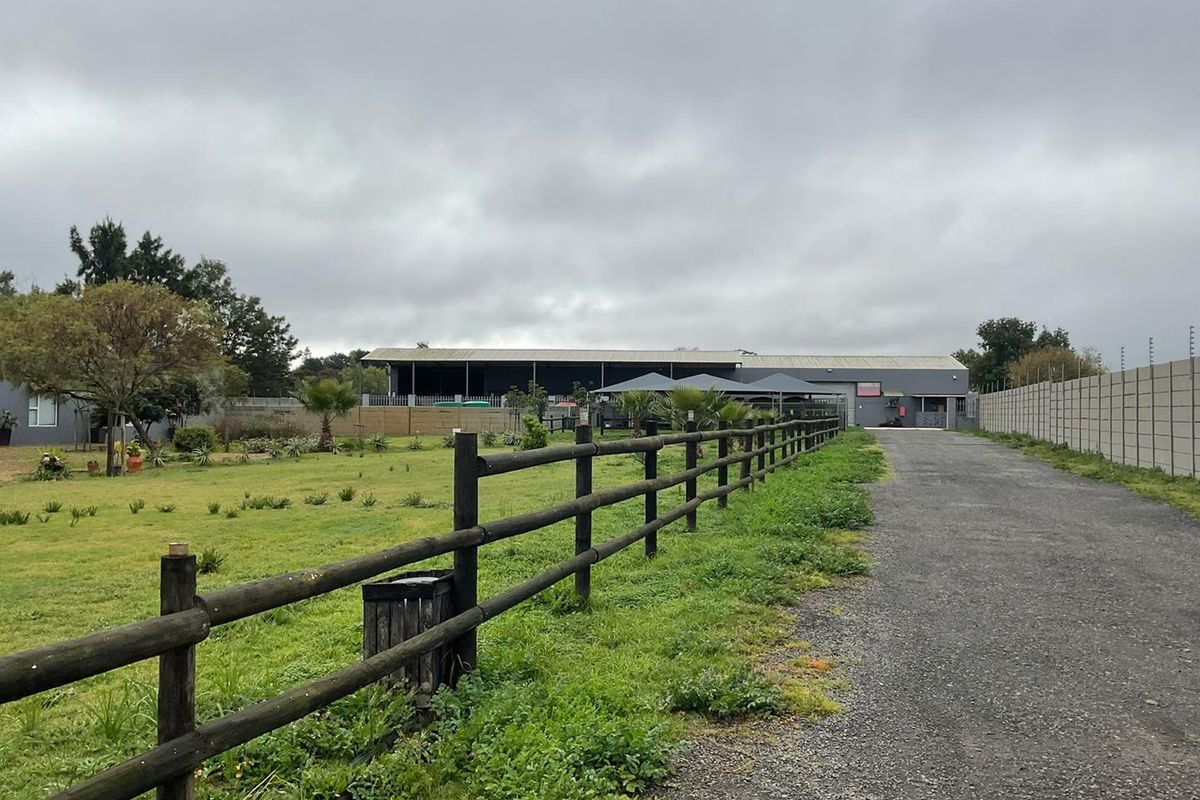 Pristine Smallholding – Lifestyle, Business & Investment Opportunity - Photo 4