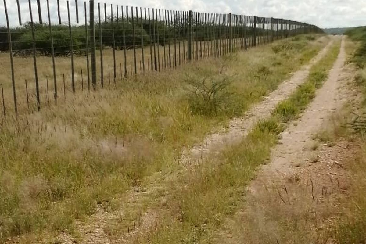 150HA PLOT, OUTJO - FOR SALE - Photo 3