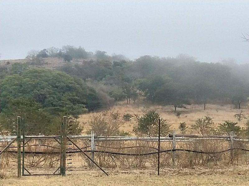 OFFERS WELCOME! Cattle Farm & Nature Retreat Rolled into One Rare Opportunity! - Photo 4