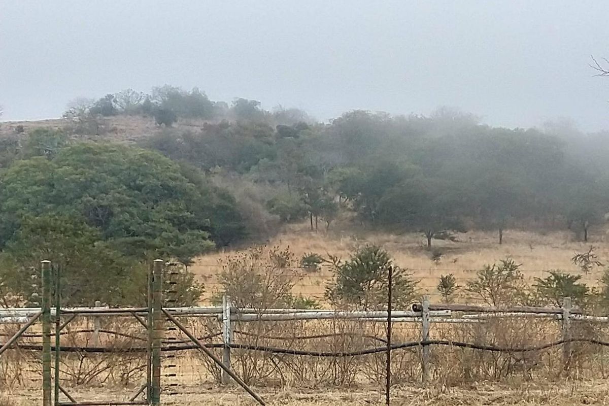 OFFERS WELCOME! Cattle Farm & Nature Retreat Rolled into One Rare Opportunity! - Photo 4