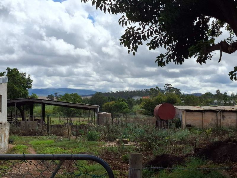 Versatile Property: From Farm to Function Venue! - Photo 10