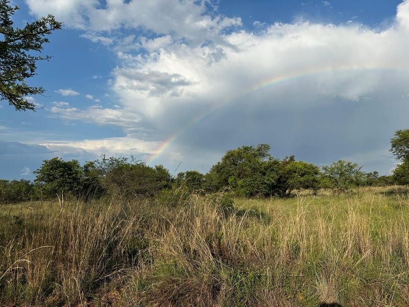 BUSVELD 4.2 HA VACANT LAND FOR SALE  - NO FARMING -R1 170 000 - Photo 6