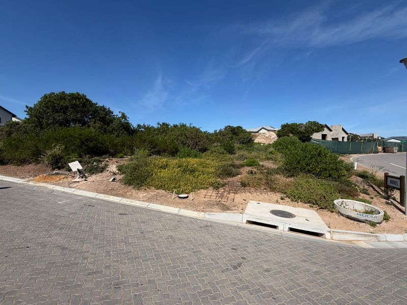 A vacant residential plot featuring native vegetation, a paved street frontage, and existing stormwater drainage infrastructure.