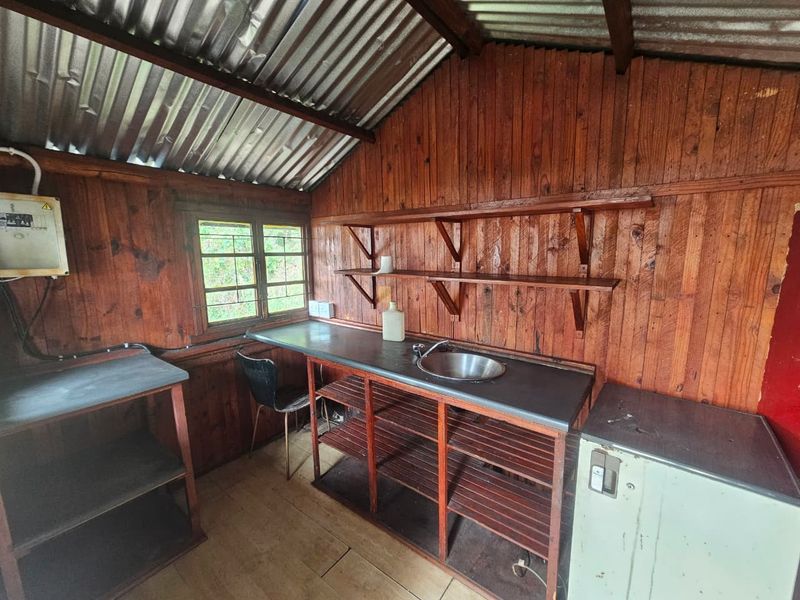 A rustic utility or scullery area featuring timber wall cladding, open shelving, a stainless steel sink, and a corrugated metal roof.