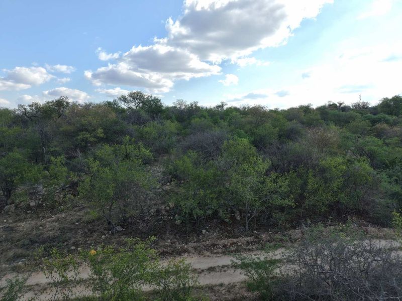 A scenic view of a natural, undeveloped residential plot featuring dense native vegetation and a dirt access track under a clear sky.