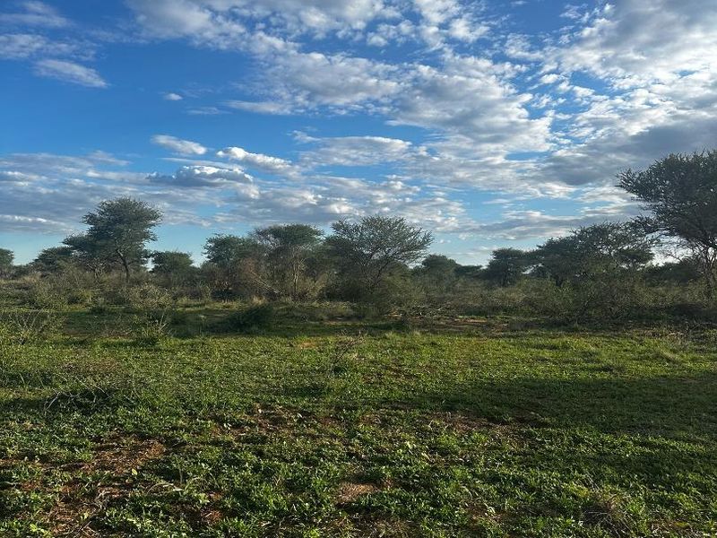 Eros- To Let-N$20 000 - Photo 9