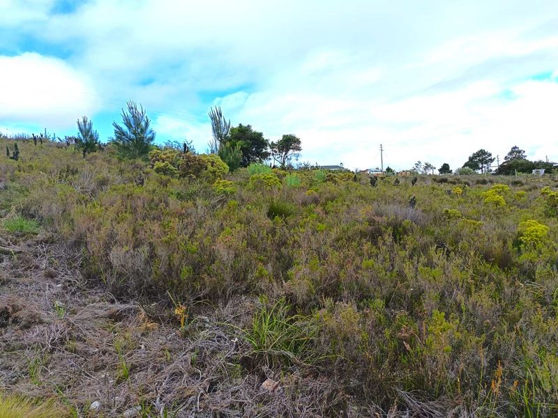 A view of the vacant residential land featuring natural vegetation and a gentle slope, suitable for future development.
