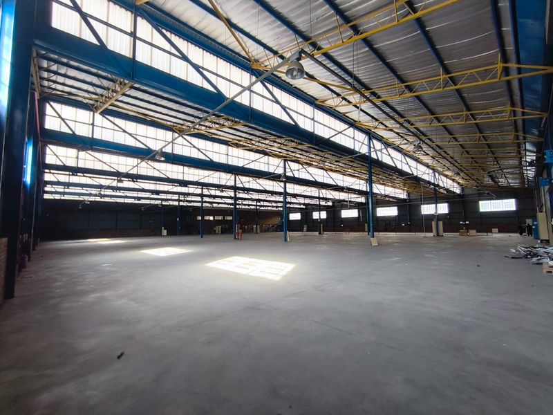 A spacious industrial warehouse featuring a high-clearance steel portal frame, polished concrete flooring, and ample natural light through translucent roof panels.