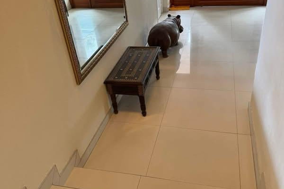TO LET - Photo 2