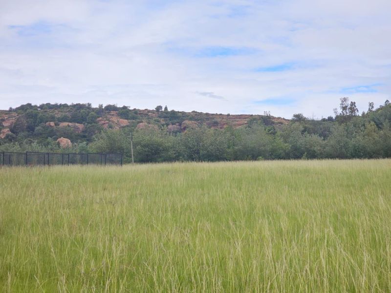 **Prime Vacant Land Opportunity at the Mountain's Edge** - Photo 5