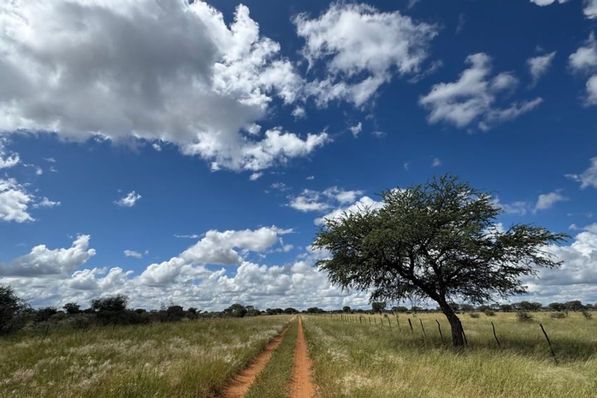 This impressive 4,100-hectare farm, strategically divided into 22 well-equipped camps, offers an exceptional opportunity for serious farming and investment. - Photo 3