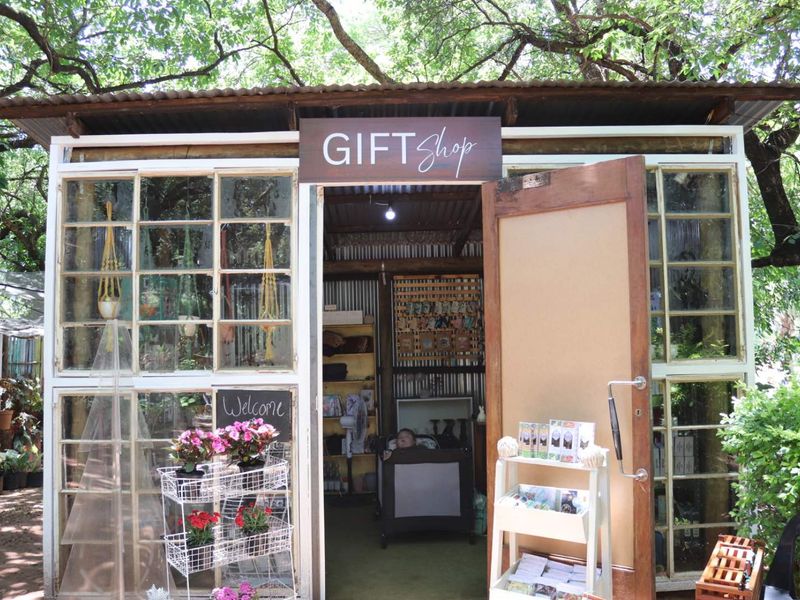 Established Plant Nursery Business For Sale. - Photo 5