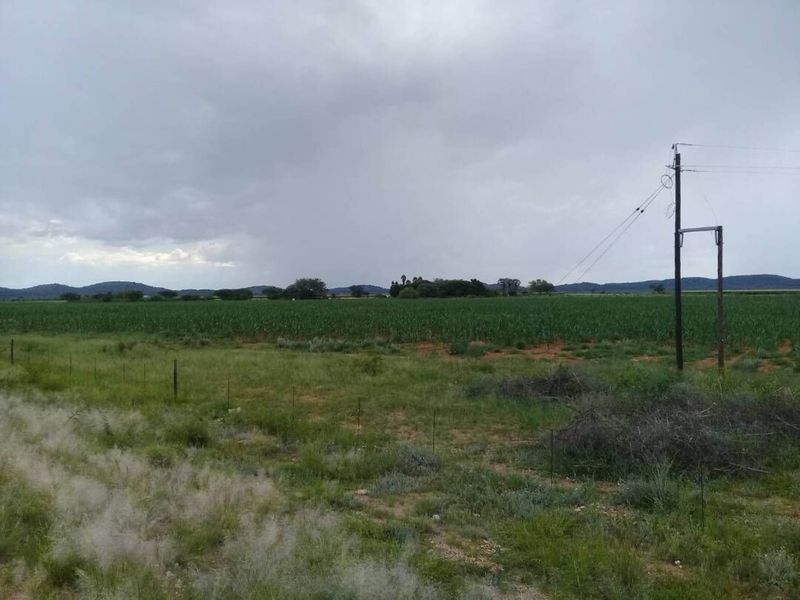 FOR SALE - PRIME 25 HA IRRIGATION PLOT FOR SALE IN TSUMEB DISTRICT - Photo 4