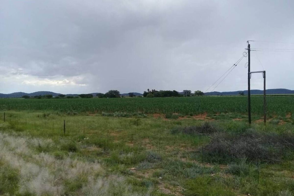 FOR SALE - PRIME 25 HA IRRIGATION PLOT FOR SALE IN TSUMEB DISTRICT - Photo 4
