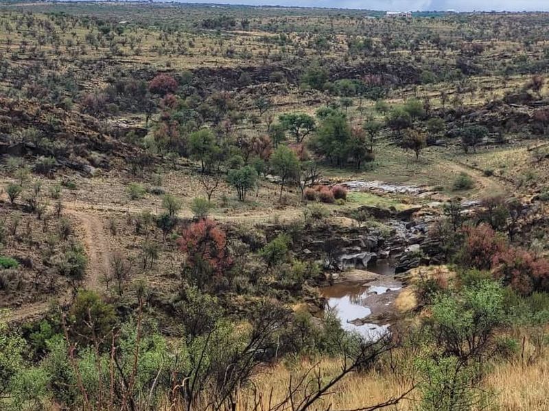 Vacant 13HA undeveloped land for Sale in Daan Viljoen area - Photo 7