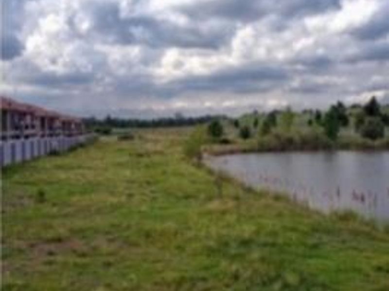 A scenic view of the natural pond and surrounding green space adjacent to the apartment complex.