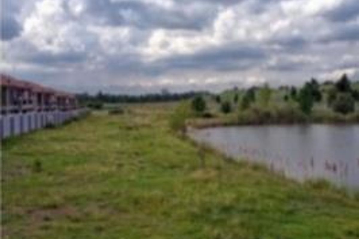 A scenic view of the natural pond and surrounding green space adjacent to the apartment complex.