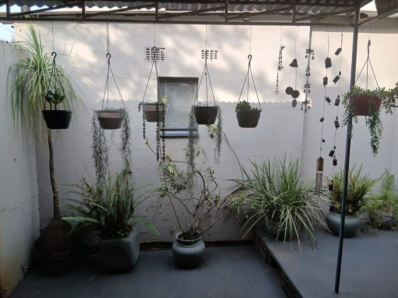 A covered outdoor patio area featuring a corrugated metal roof, textured exterior walls, and an obscured glass window.