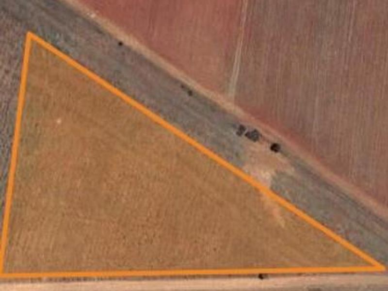 Enjoy the tranquility of Henley - Photo 2