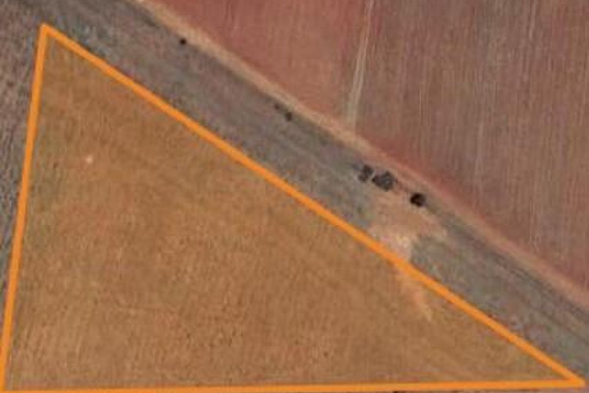 Enjoy the tranquility of Henley - Photo 2