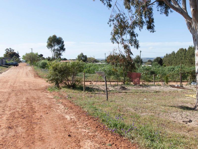 Large Plot in the best part of Chatsworth - R350 000 - Photo 3