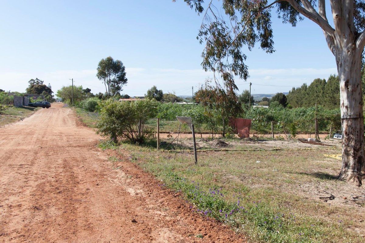 Large Plot in the best part of Chatsworth - R350 000 - Photo 3