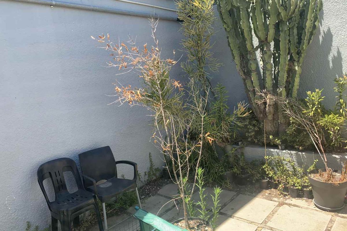 A small outdoor courtyard area featuring paved flooring and a perimeter wall, currently requiring landscaping maintenance and surface attention.