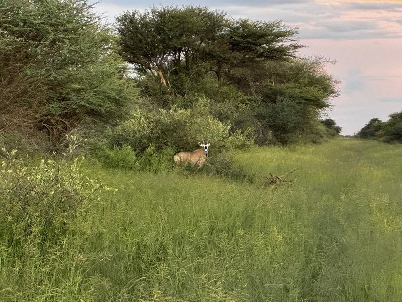 217 Hectares of Peaceful Living - Photo 8