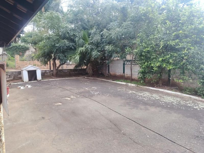 A spacious outdoor area featuring a paved surface, boundary wall, and mature trees, offering potential for landscaping or outdoor development.