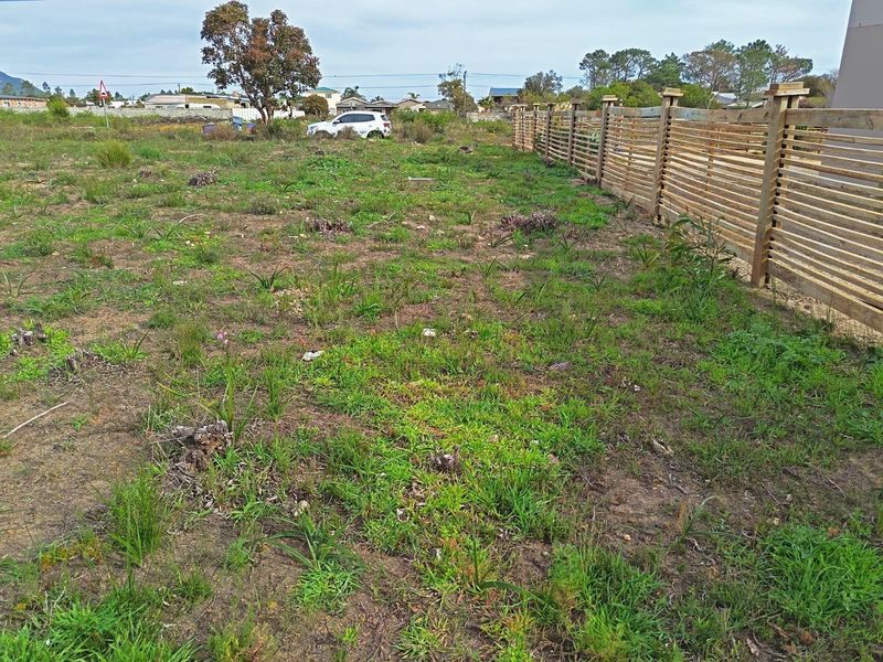 Two for the price of one - Photo 7