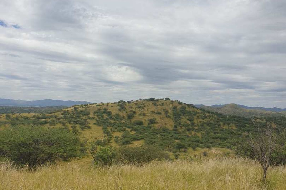 VACANT LAND FOR SALE - Photo 2