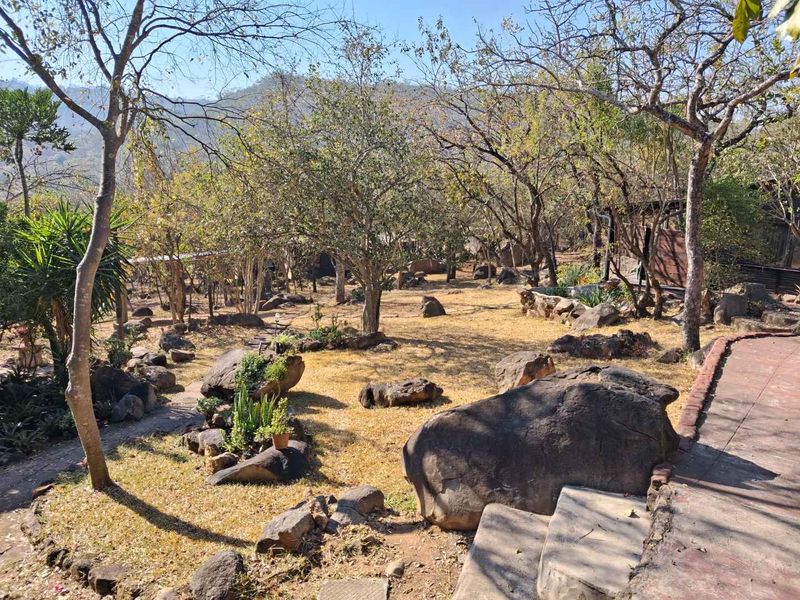 A natural, rustic garden area featuring mature trees, large rock formations, and paved pathways leading through the landscape.