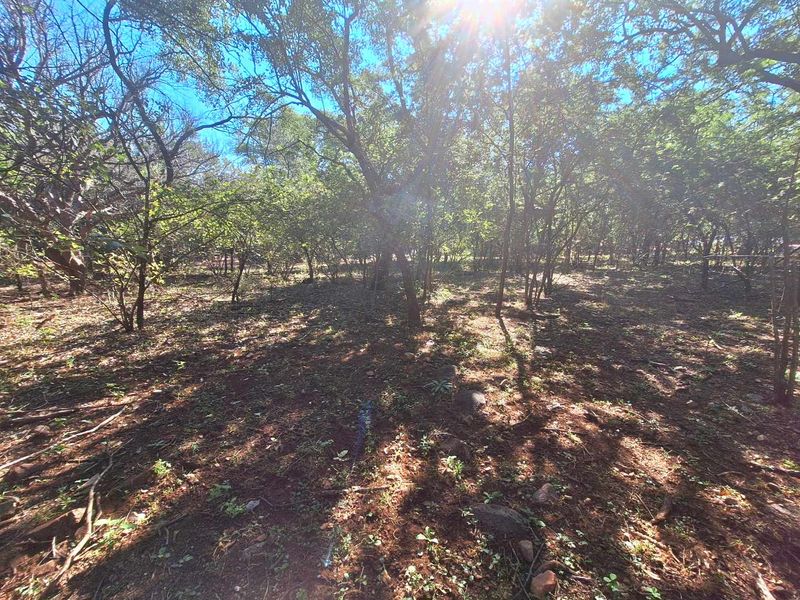 Secure Your Slice of Leeupoort's Natural Beauty Today - Photo 4