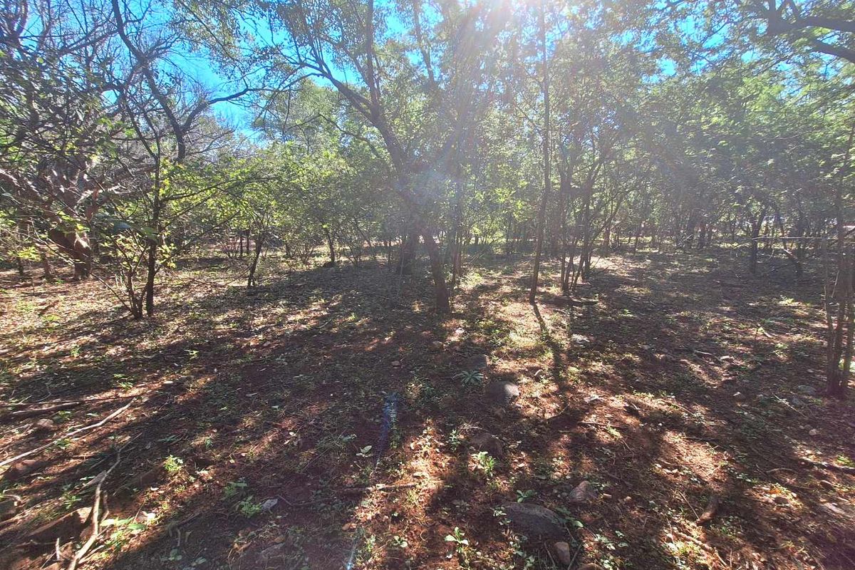 Secure Your Slice of Leeupoort's Natural Beauty Today - Photo 4