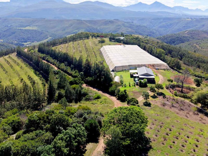 Stunning Leeukloof Farm - Dual Mandate Opportunity - Photo 2