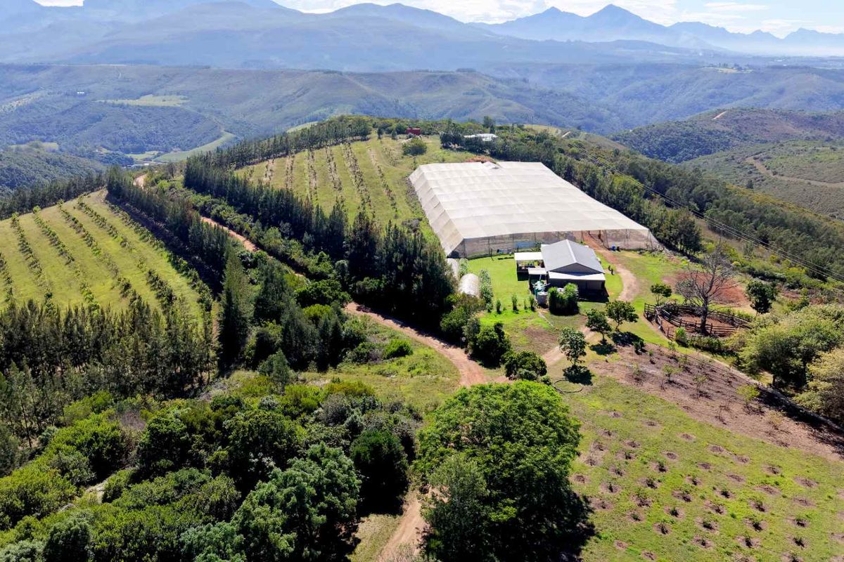 Stunning Leeukloof Farm - Dual Mandate Opportunity - Photo 2