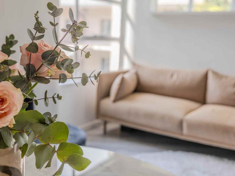 Stylish Gem in the Heart of Tamboerskloof - Photo 4