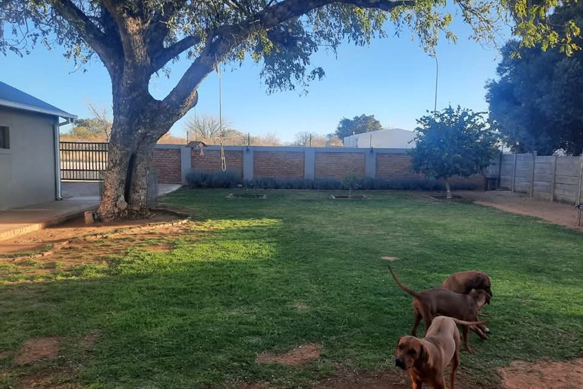 Beautiful property, very well maintained.Tsumeb for sale..... - Photo 2
