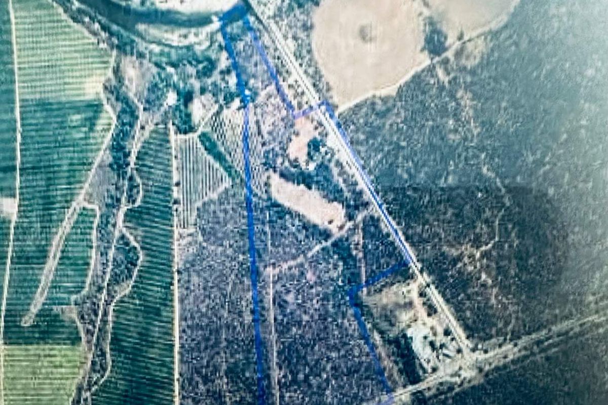 A farm in Africa - with breathtaking views: - Photo 4