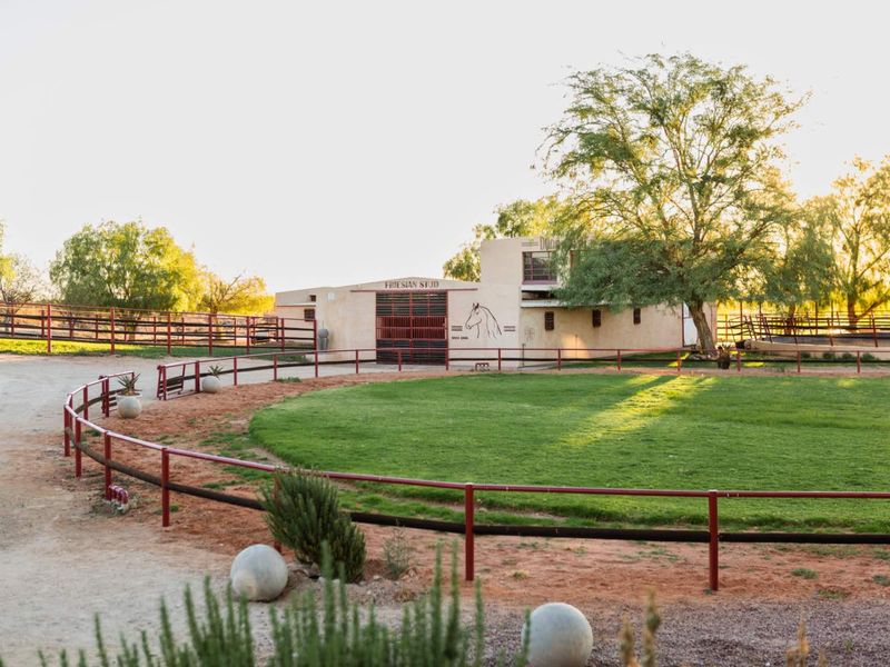 Naftali Lifestyle Estate - Photo 8